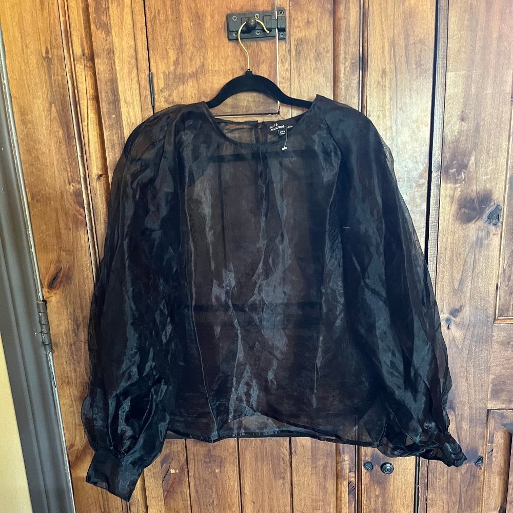 Black Sheer Top Large
